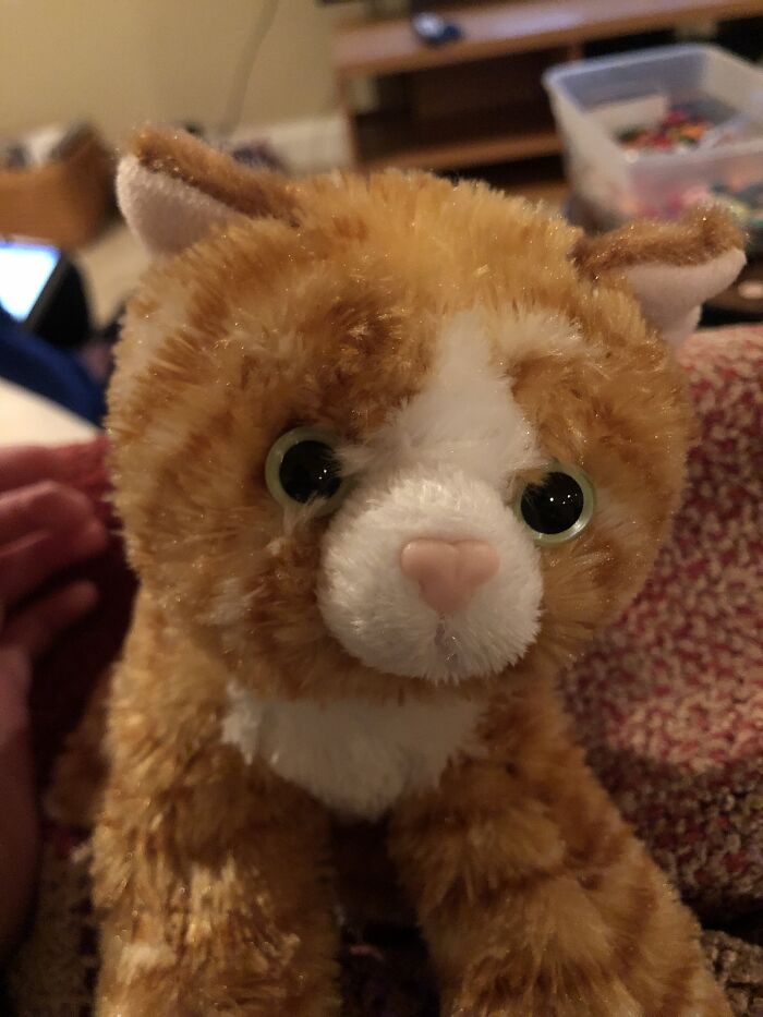This Is Whiskers! My Grandma For Him For Me And I Love Him! I’m Going To Make Him A Bow Tie, Any Color Suggestions?