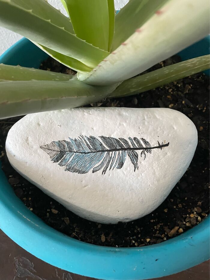 A Feather Landed In This Plant And After It Blew Off, I Recreated On A Rock.