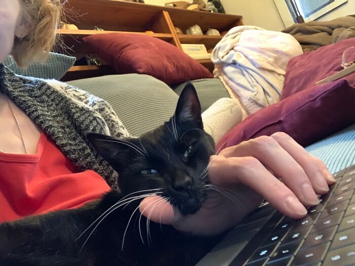 My Little Girl’s Way Of Proofreading My Work.