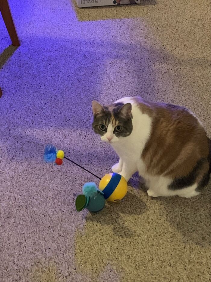 Miu Miu With Her Favorite Toy