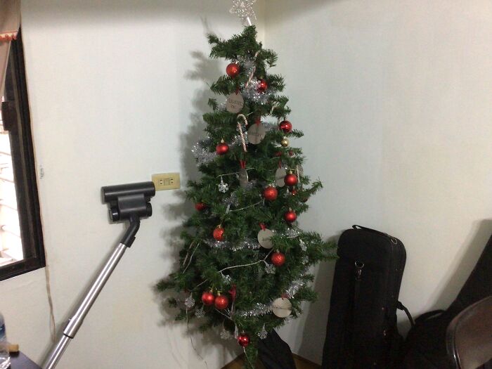 Our Christmas Tree.( It’s March)