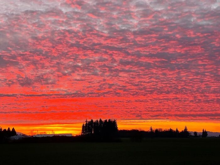 Sunset (No Filters) Looking Out From Our Farm In Oregon, USA