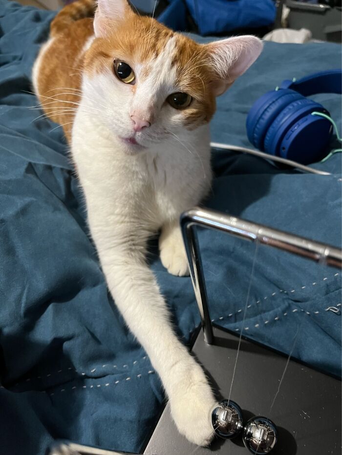 Morgana, 4 Years Old And This Is The Cutest Photo Of Her Ever