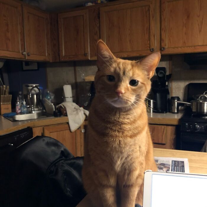 Dexter (Aka Sexy Dex)