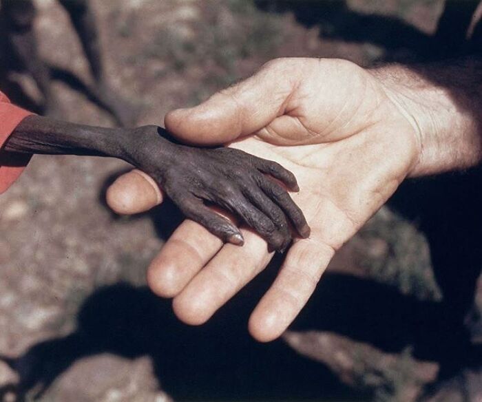Manos de un niño hambriento y un misionero católico // Uganda, 1980. Fotografía de Mike Wells