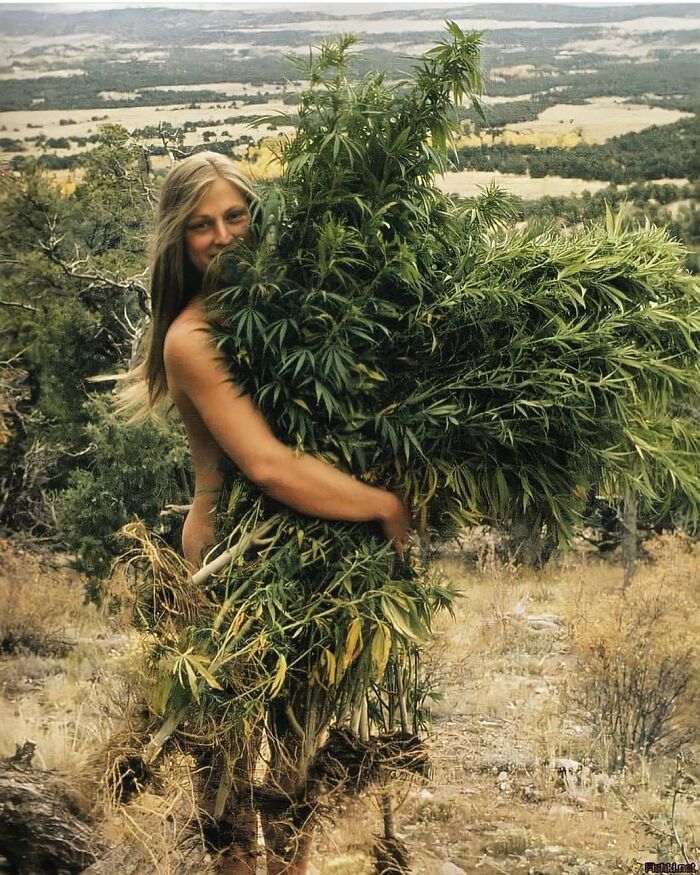 A Girl With A Massive Bush, Circa 1970