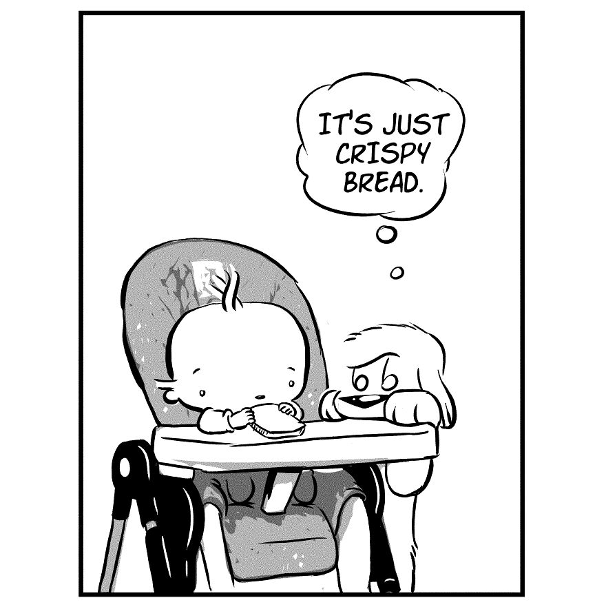 Things My Dog Thinks About (4 Comics)