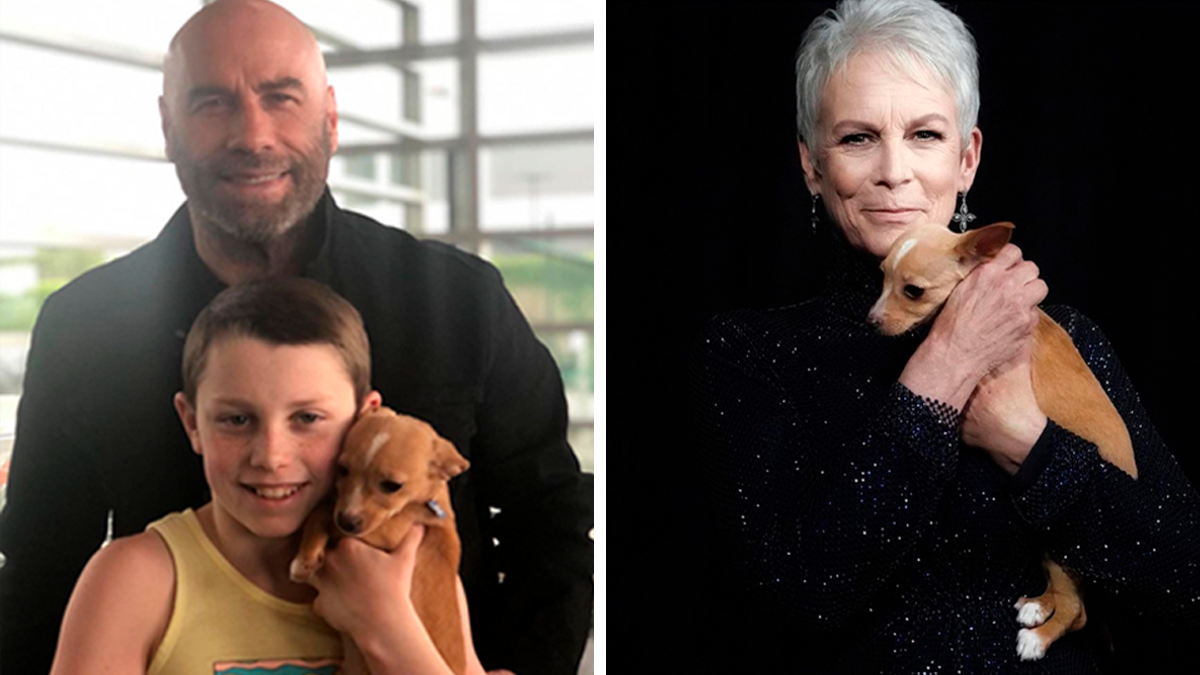 Puppy Named Mac N Cheese Wins Big At The Oscars As John Travolta Adopts Him After Betty White Tribute