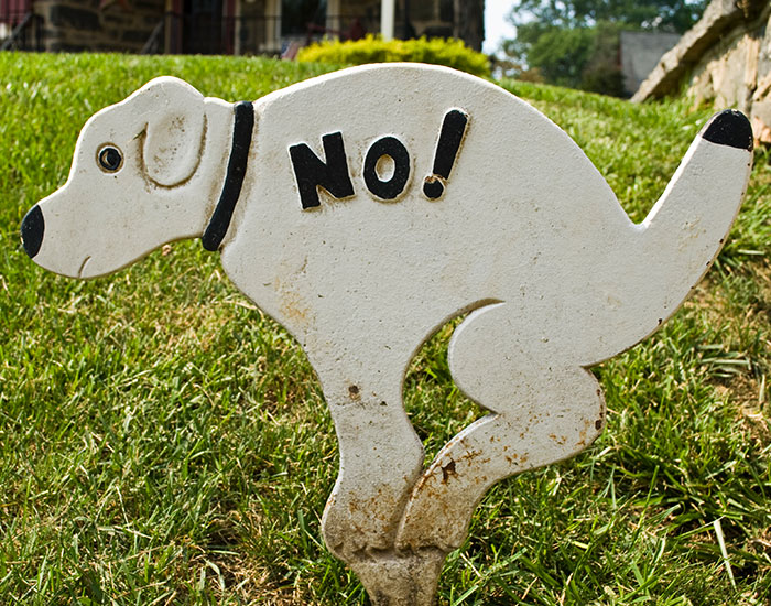 Couple Lets Neighbors’ Kids Play In Their Backyard But Changes Their Mind After Neighborhood Karen Demands They Get Rid Of Their 2 Dogs