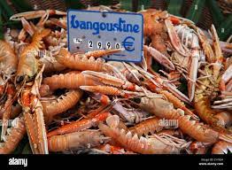 langoustine-6234694c72004.jpg