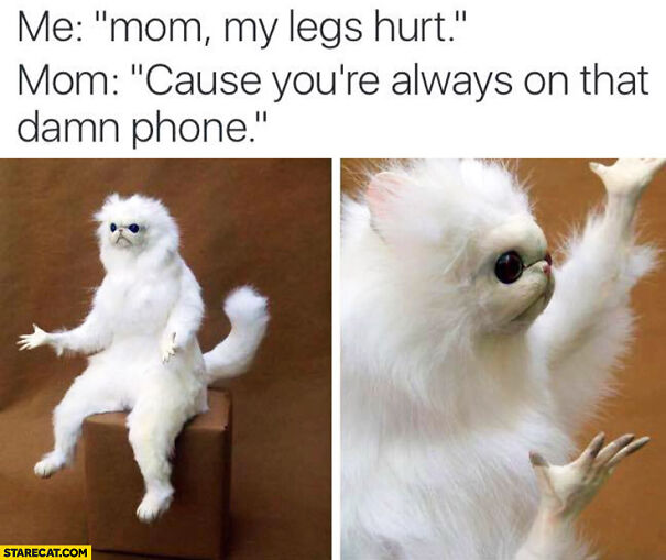 me-mom-my-legs-hurt-mom-cause-youre-always-on-that-damn-phone.jpg