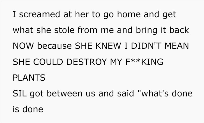Woman Refuses To See Her Niece And Sister-In-Law After They Trim Her Houseplants And Sell The Cuttings On Marketplace Woman Refuses To See Her Niece And Sister-In-Law After They Trim Her Houseplants And Sell The Cuttings On Marketplace