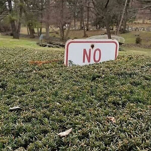 levipatterson avatar