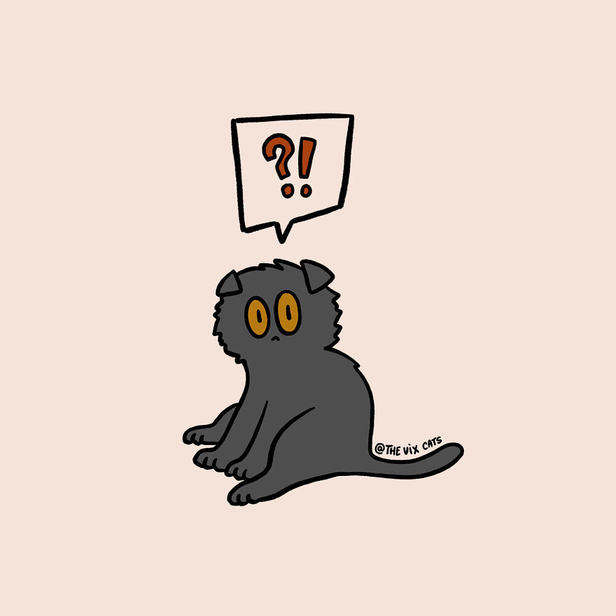 I Began Drawing Illustrations Of My Two Lovely Cats After I Got A Second Cat, Here's How It Went (21 Pics) I Began Drawing Illustrations Of My Two Lovely Cats After I Got A Second Cat, Here's How It Went (21 Pics)