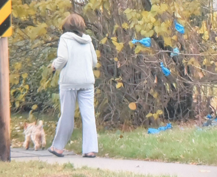Every Day This Lady Walks Her Dog And Throws Its Poop In The Same Tree