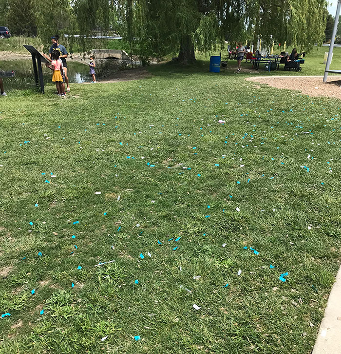 If You Have A Gender Reveal Party And Leave Confetti Everywhere For People To Pick Up, Screw You