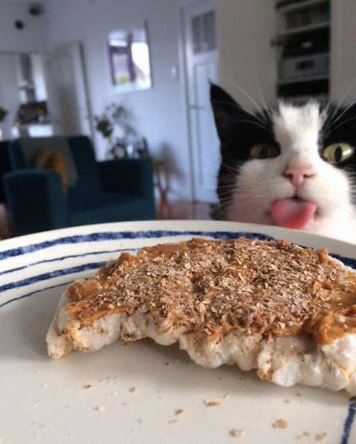 Every Meal You Make, Every Bite You Take, I'll Be Watching You