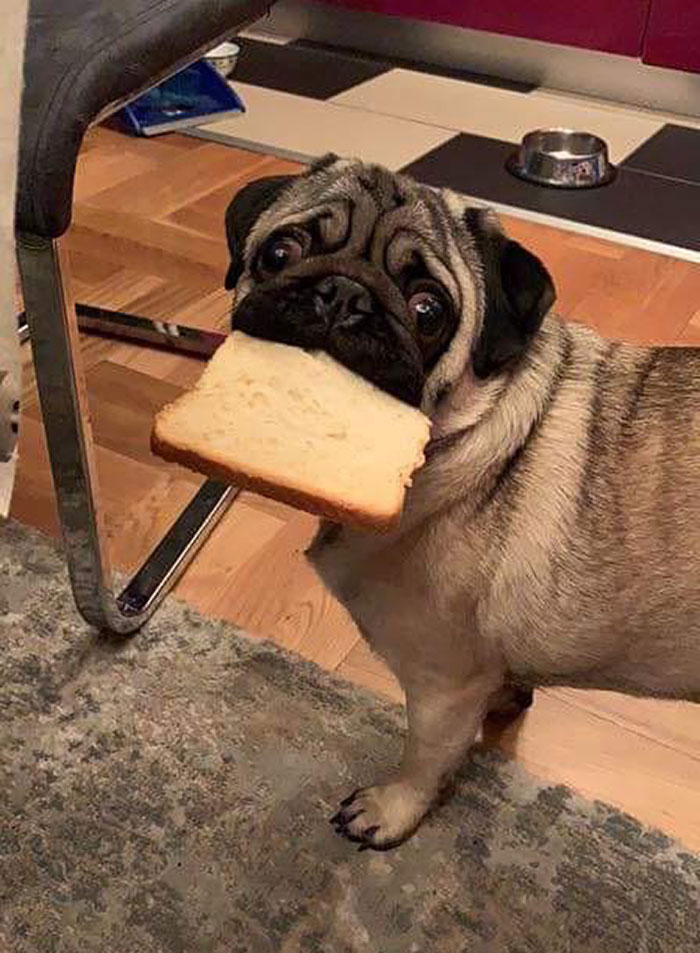 Loaf Of Bread Stole Piece Of Bread