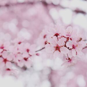 margaridagranja avatar