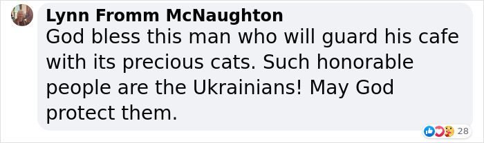 “We Would Never Leave Our Country”: Ukrainian Cat Café Stays Open Amid War “We Would Never Leave Our Country”: Ukrainian Cat Café Stays Open Amid War