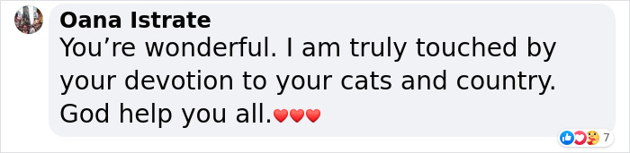 “We Would Never Leave Our Country”: Ukrainian Cat Café Stays Open Amid War “We Would Never Leave Our Country”: Ukrainian Cat Café Stays Open Amid War