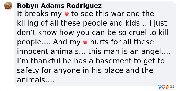 “We Would Never Leave Our Country”: Ukrainian Cat Café Stays Open Amid War “We Would Never Leave Our Country”: Ukrainian Cat Café Stays Open Amid War