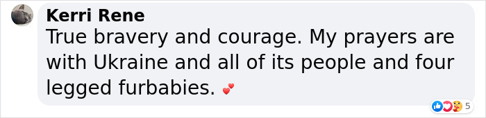 “We Would Never Leave Our Country”: Ukrainian Cat Café Stays Open Amid War “We Would Never Leave Our Country”: Ukrainian Cat Café Stays Open Amid War