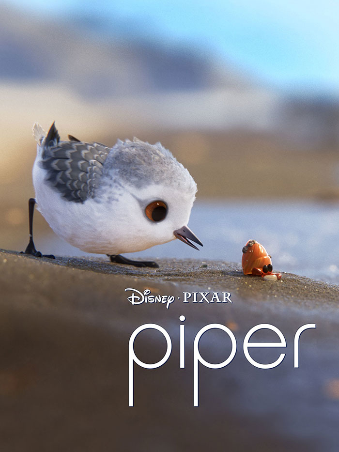 Poster of Piper movie 