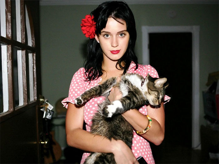 Katy Perry's Cat Was Named Kitty Purry
