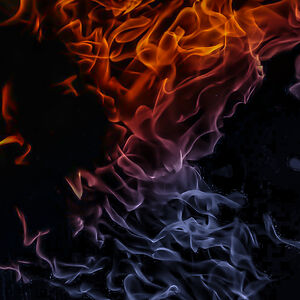 gracealexandrea447 avatar