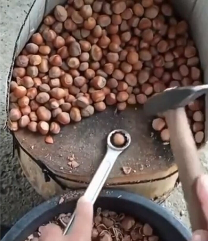 Fastest Way To Crack Your Nuts