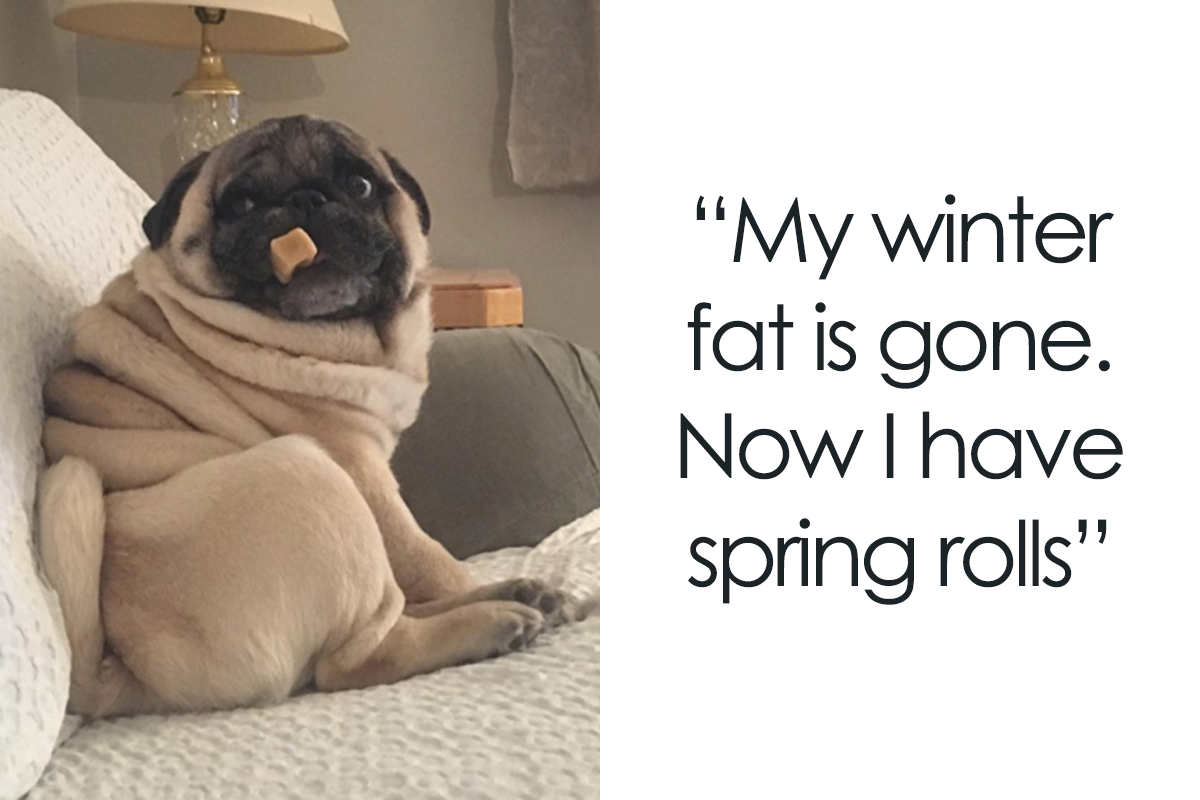 117 Spring Puns That Might Sprout Some Happiness | Bored Panda
