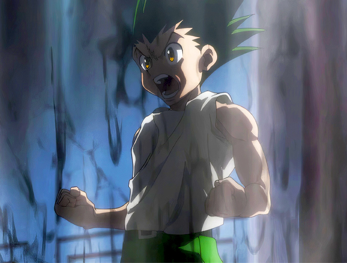 Gon Freecss, Hunter X Hunter