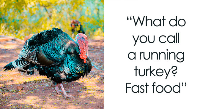 110 Turkey Jokes Dedicated Only To This Majestical Bird