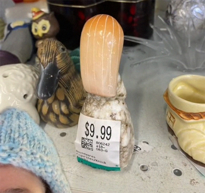 Woman Flabbergasted At Thrift Store's Prices, Calls Them Out By Sharing 14 Examples Woman Flabbergasted At Thrift Store's Prices, Calls Them Out By Sharing 14 Examples