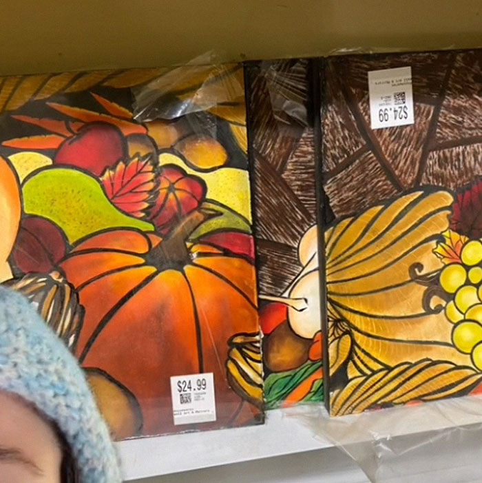Woman Flabbergasted At Thrift Store's Prices, Calls Them Out By Sharing 14 Examples Woman Flabbergasted At Thrift Store's Prices, Calls Them Out By Sharing 14 Examples