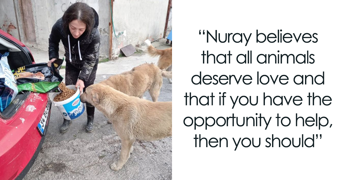 Does Turkey Make Dogs Tired