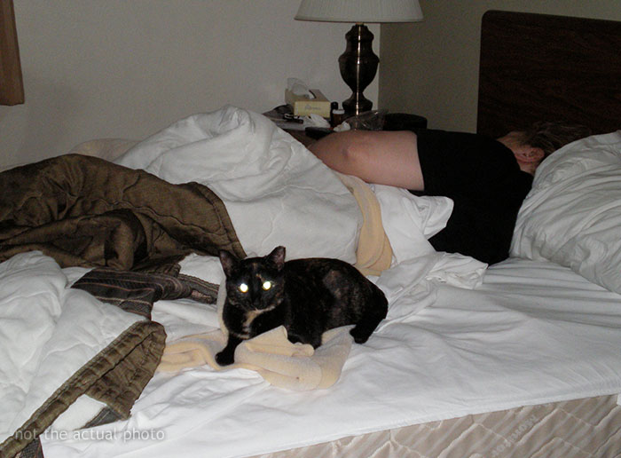 “AITA For Not Waking My Boyfriend Which Made Him Late To His First Day At A New Job?”