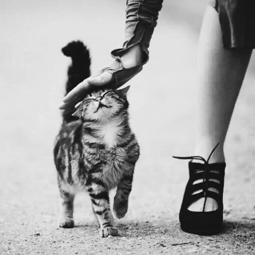 This Instagram Account Features Amusing Street Photographs And Has More Than 500 Thousand Followers (95 New Pics)