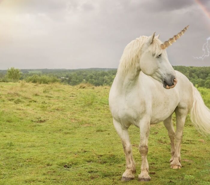 Unicorn, Scotland