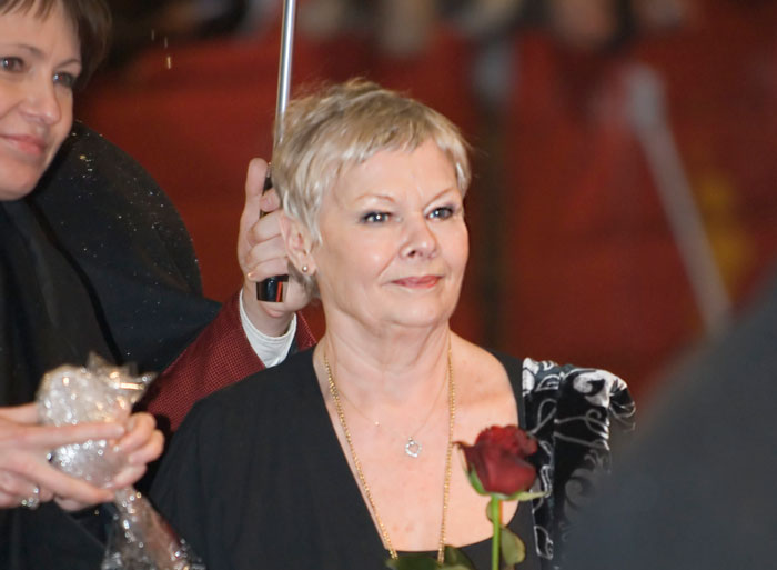 Judi Dench Was Told That Everything Was Wrong With Her Face