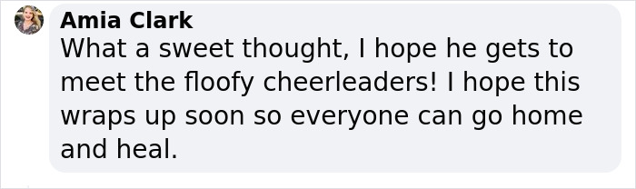 Johnny Depp’s Fan Brought Two Emotional Support Alpacas Outside The Court To “Brighten His Day” Johnny Depp’s Fan Brought Two Emotional Support Alpacas Outside The Court To “Brighten His Day”