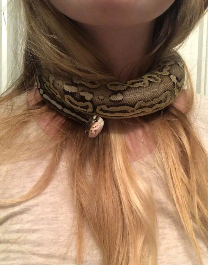 ¿Os gusta mi collar nuevo?