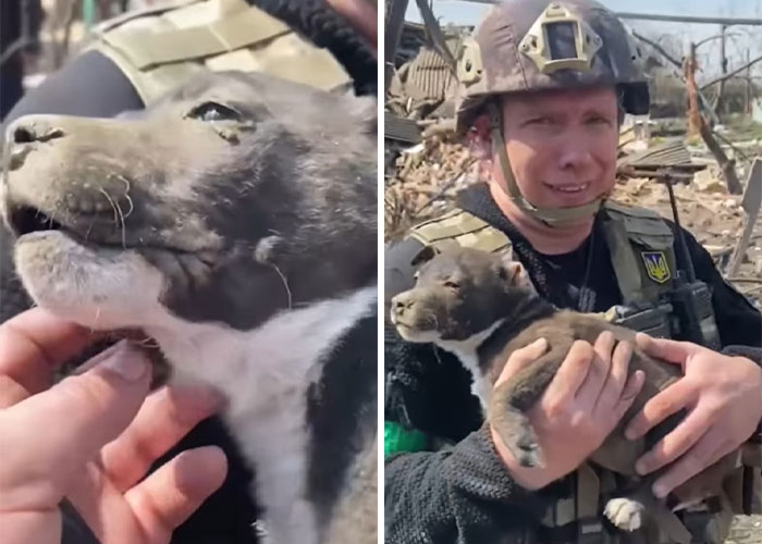 Ukrainian Policemen Pull Puppy Out Of Rubble And Return It To 77-Year-Old Owner Who’d Lost Everything Else