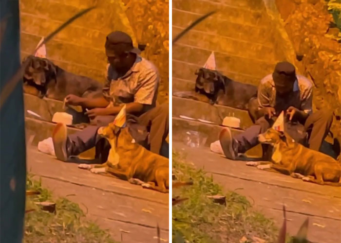 Homeless Man’s Birthday Party For His Dog Warms The Hearts Of Many, Leading To A Better Life For Them All Homeless Man’s Birthday Party For His Dog Warms The Hearts Of Many, Leading To A Better Life For Them All