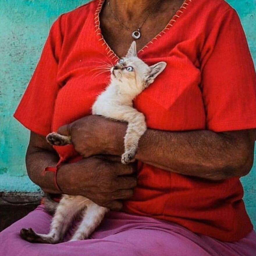 This Instagram Account Features Amusing Street Photographs And Has More Than 500 Thousand Followers (95 New Pics)