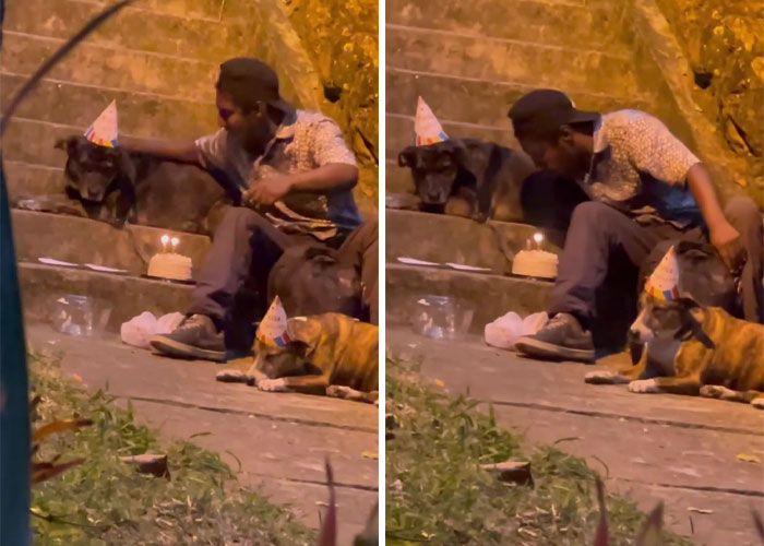 Homeless Man’s Birthday Party For His Dog Warms The Hearts Of Many, Leading To A Better Life For Them All Homeless Man’s Birthday Party For His Dog Warms The Hearts Of Many, Leading To A Better Life For Them All