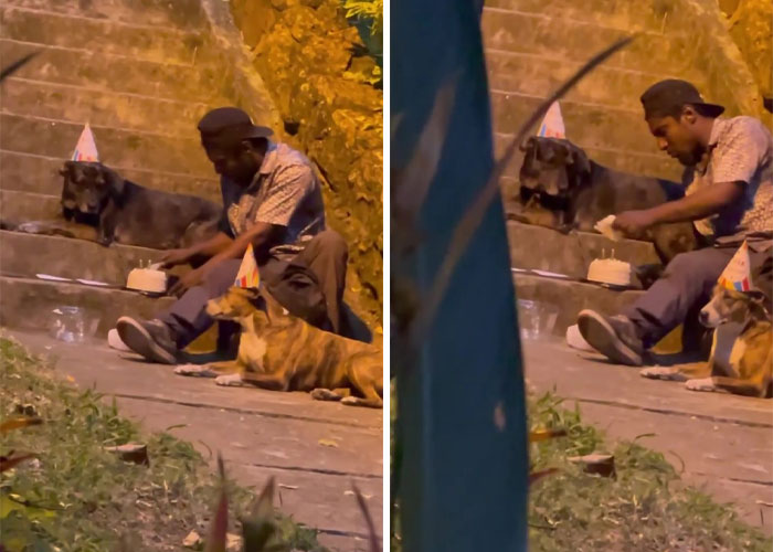 Homeless Man’s Birthday Party For His Dog Warms The Hearts Of Many, Leading To A Better Life For Them All Homeless Man’s Birthday Party For His Dog Warms The Hearts Of Many, Leading To A Better Life For Them All