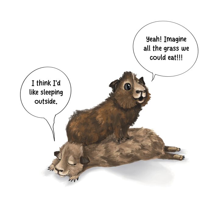 I Self-Published My Own Book "The Adventures Of Guinea Butt And Lacy Loo" (5 Pics)