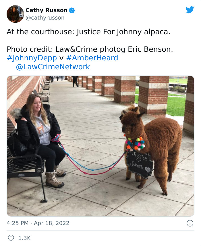 Johnny Depp’s Fan Brought Two Emotional Support Alpacas Outside The Court To “Brighten His Day” Johnny Depp’s Fan Brought Two Emotional Support Alpacas Outside The Court To “Brighten His Day”